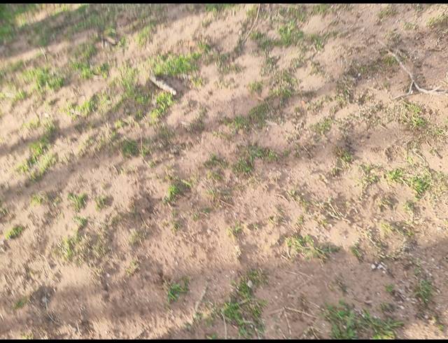 893M² VACANT LAND FOR SALE IN DANA BAY
